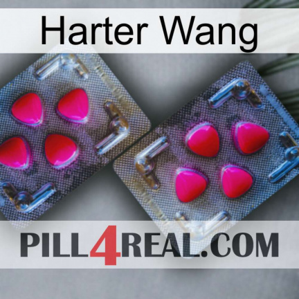 Hard Wang 15